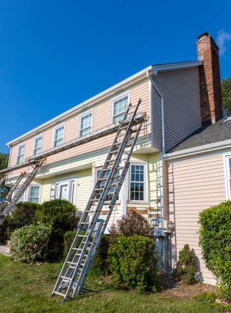 Best Hoarding Cleanup  in Palmer, TX